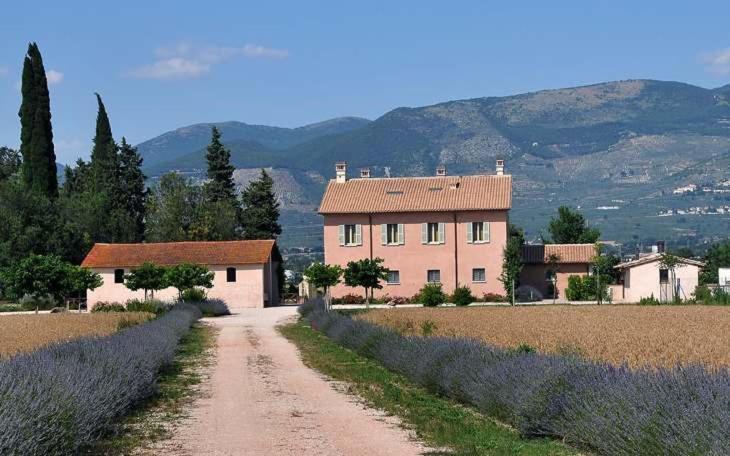 Country House Casco Dell'Acqua Trevi Exterior photo