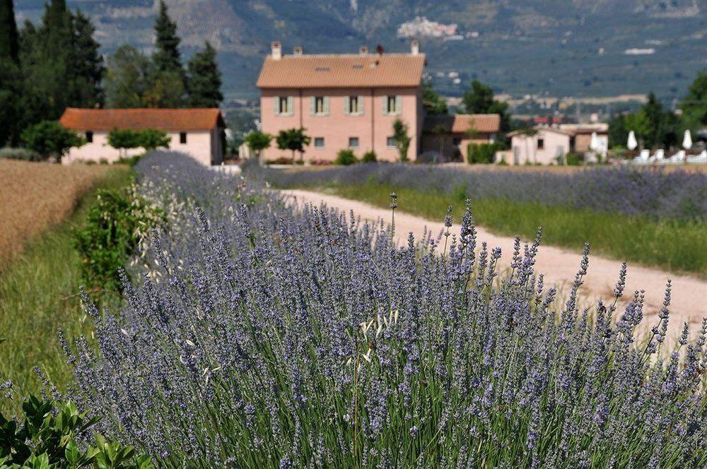 Country House Casco Dell'Acqua Trevi Exterior photo
